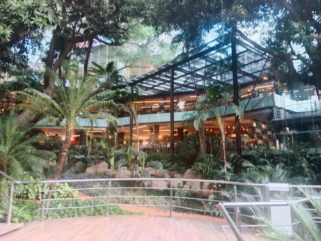 Paseo Galería 1