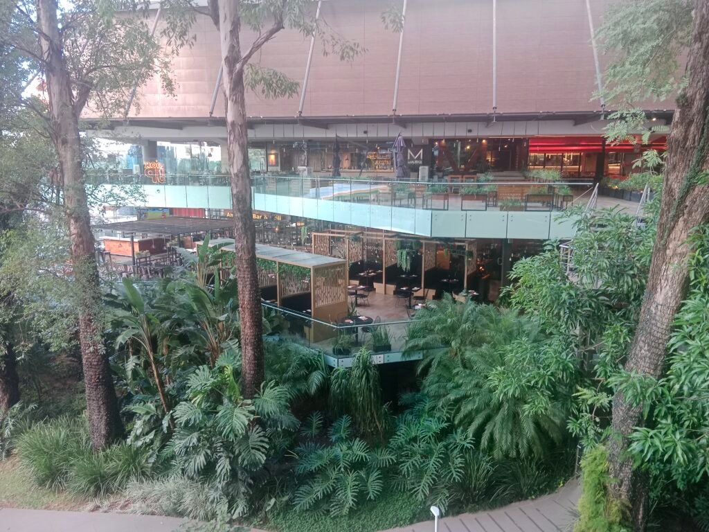 Paseo Galería 2