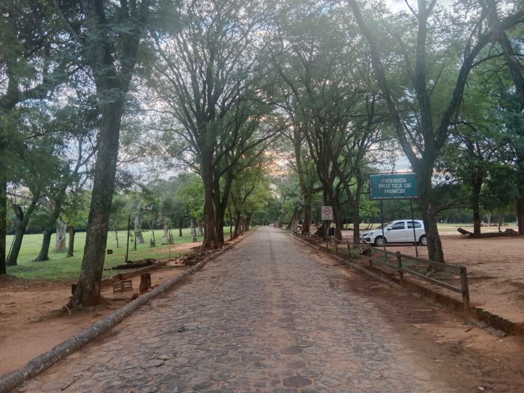 Jardín Botánico 2