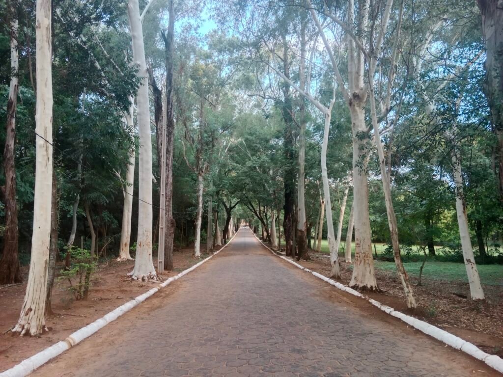 Jardín Botánico 3