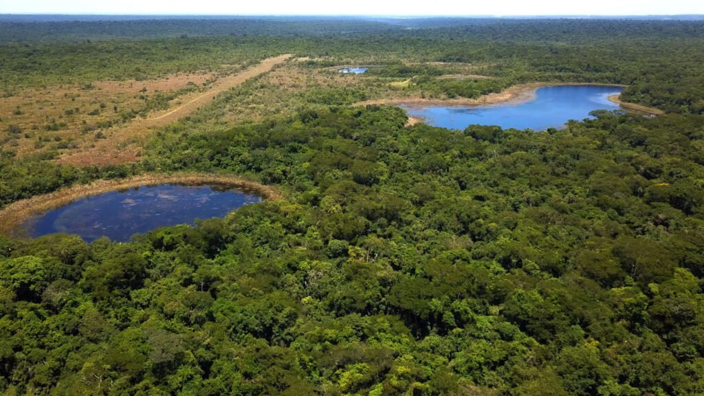 Mbaracayú